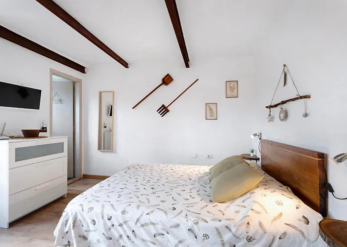 Casa Tajaraste 1 Tatil Evi
